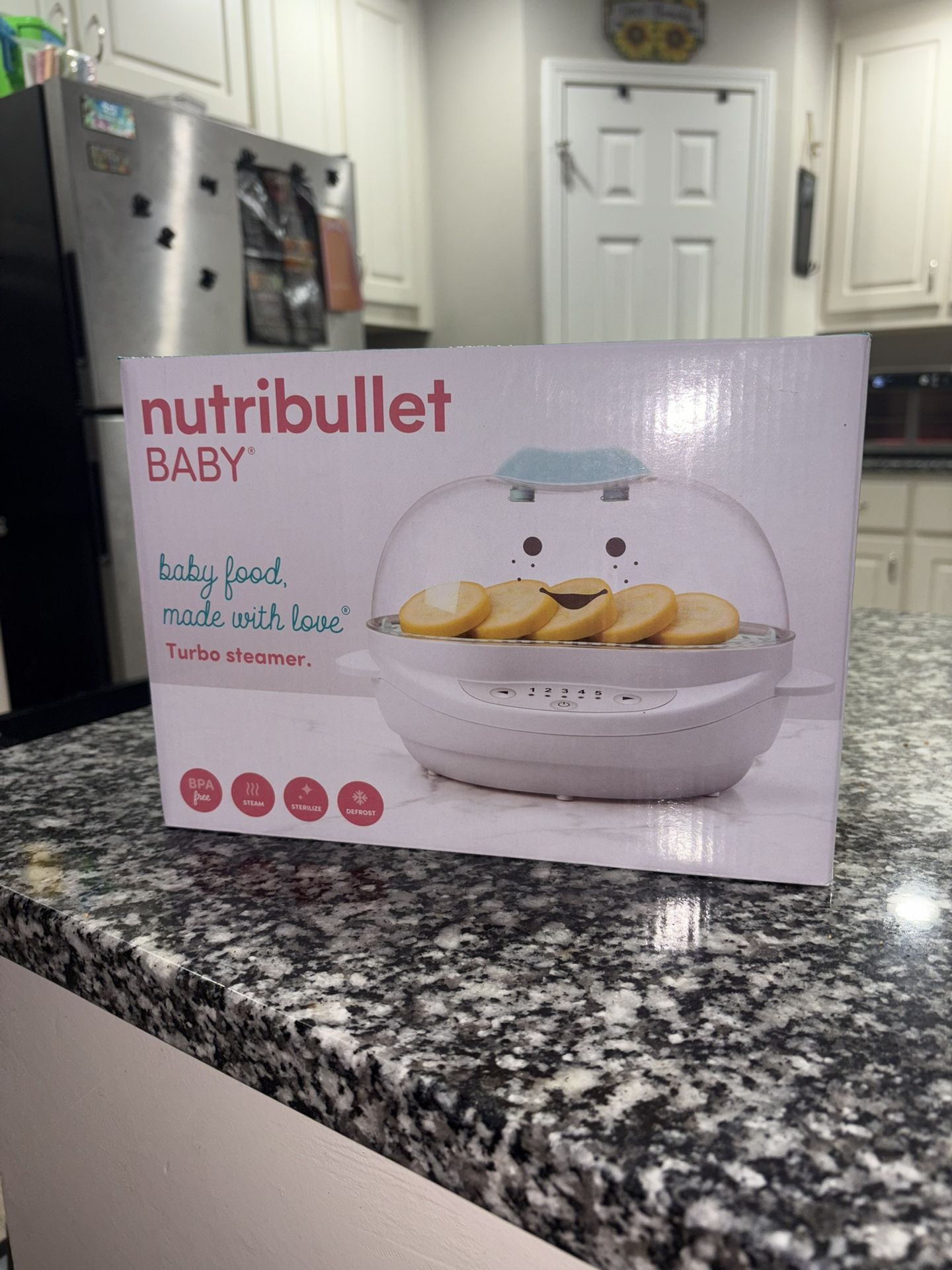 Baby Food Steamer