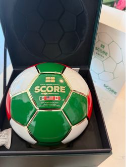 FIFA wolrd cup soccer ball - total wine and more