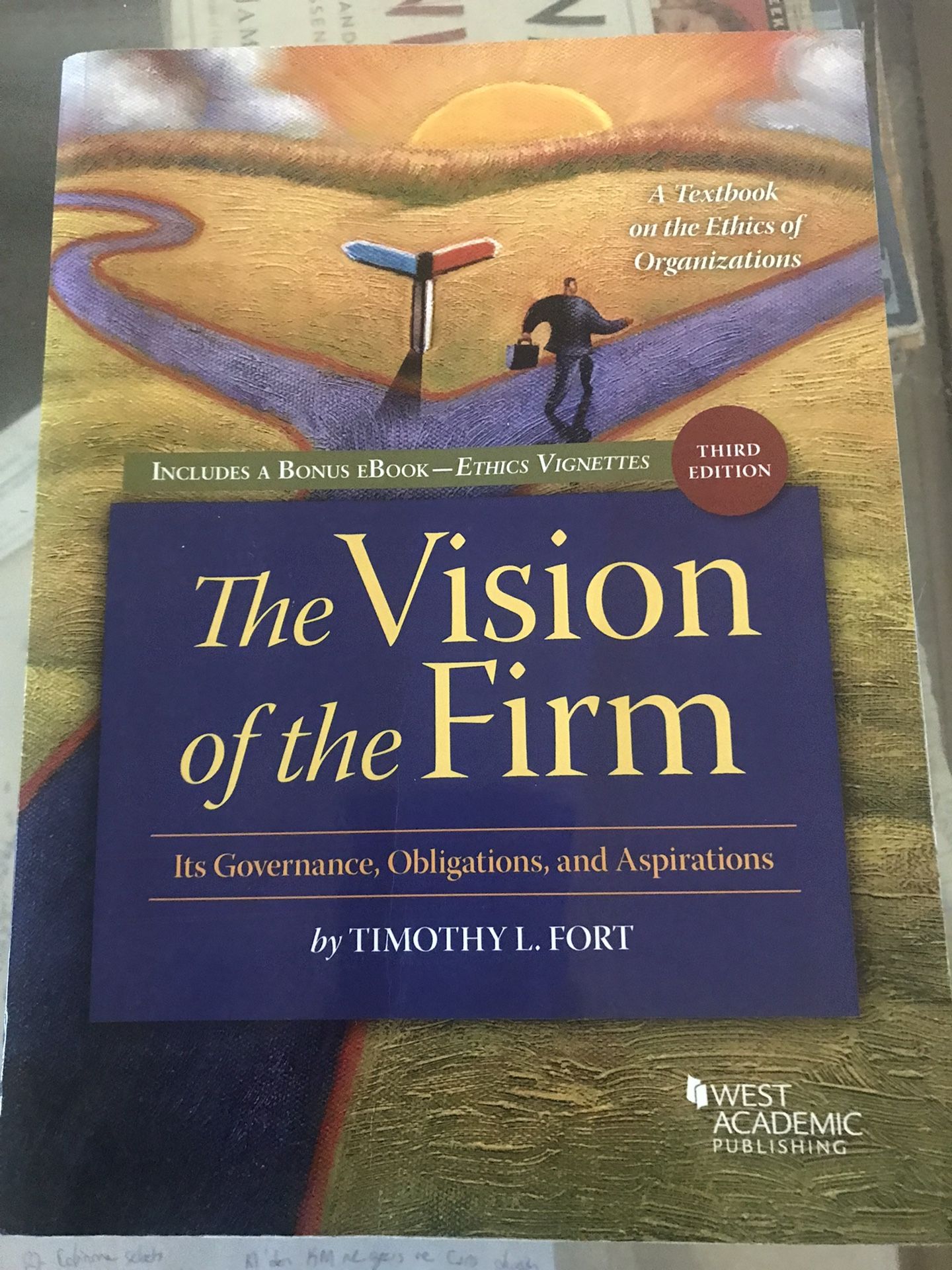 The Vision of the Firm (Higher Education Coursebook)