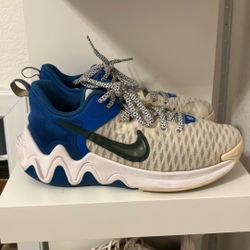 Nike Basketball Shoes