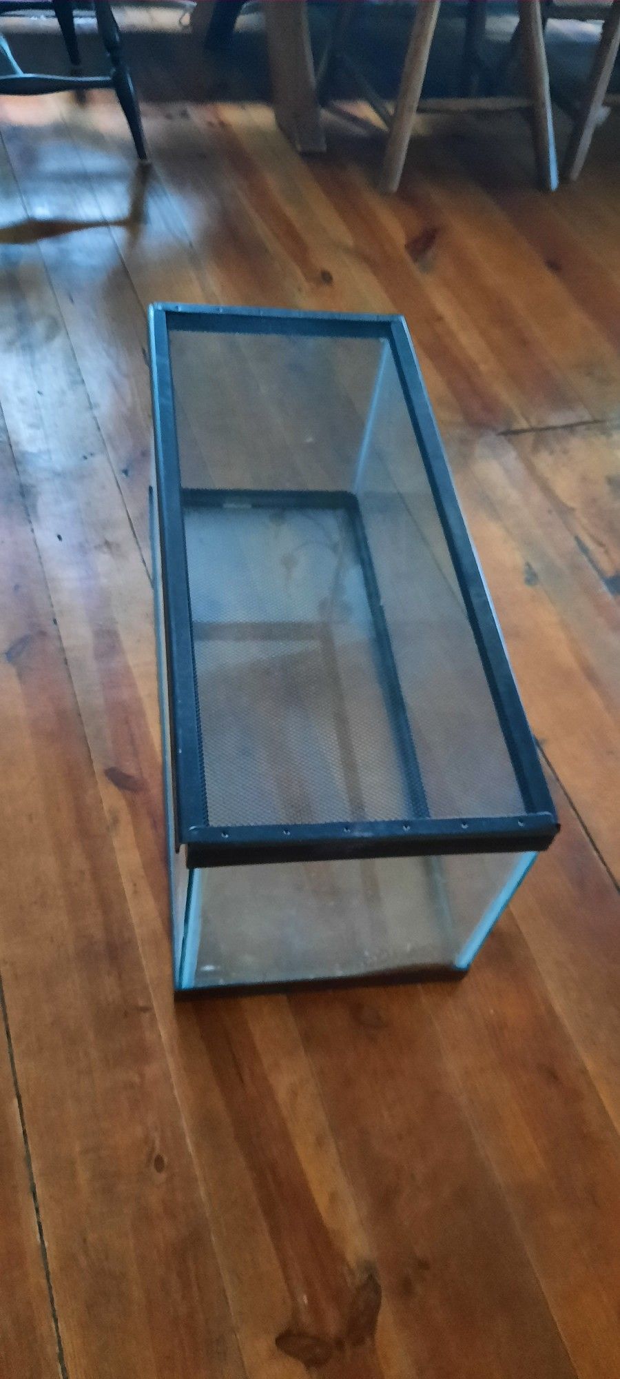 Reptile Tank 20 Long With Screen