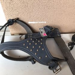 Dog Harness 