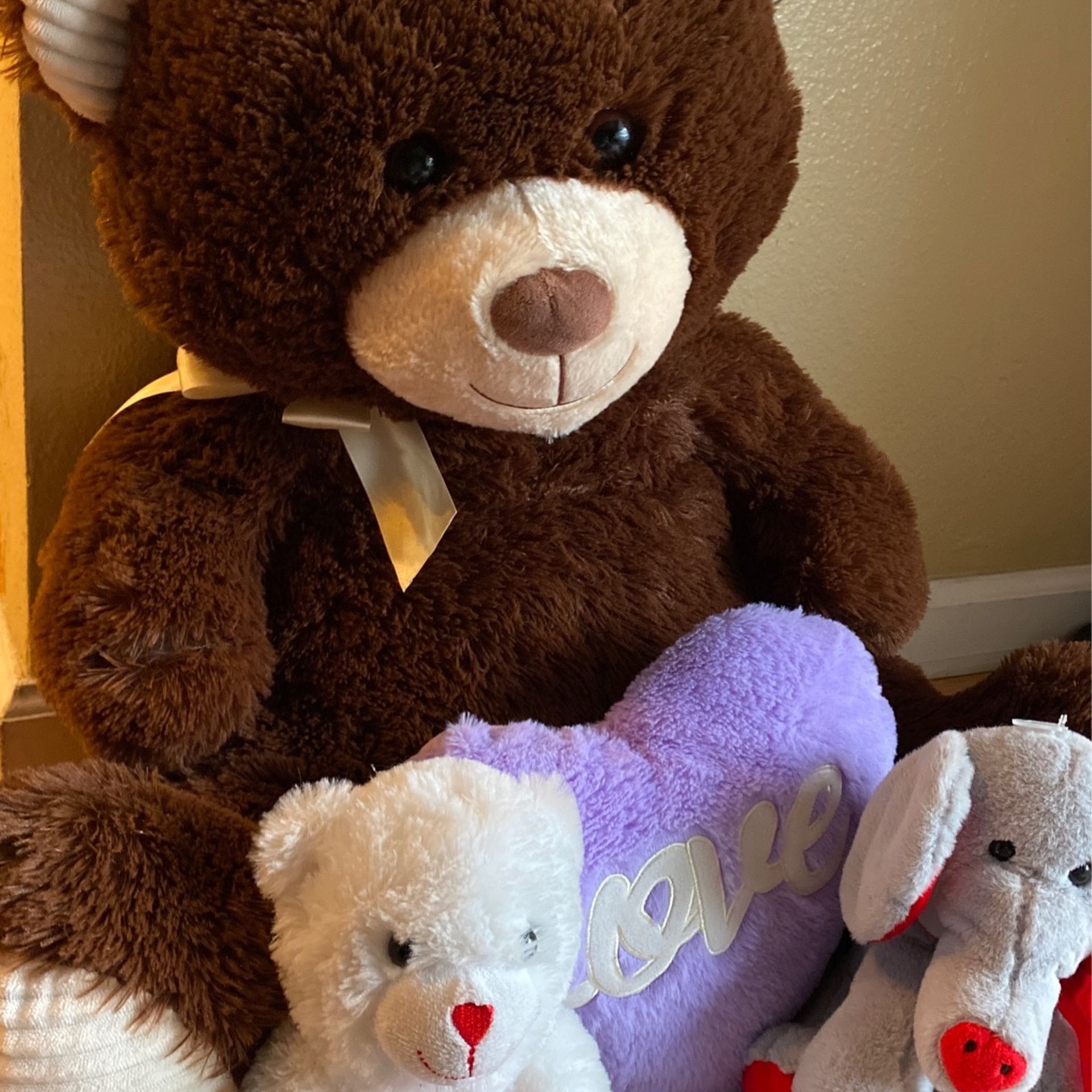 Valentines Teddy Collection
