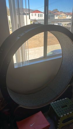 Cat wheel