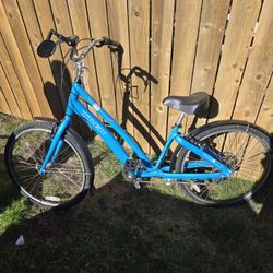 Trek Pure Ergonimcal Ladies Bike