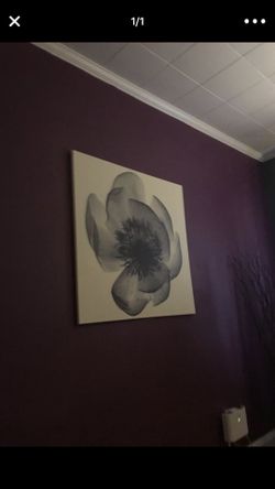 Pics