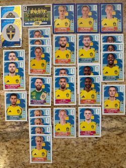 FIFA World Cup Panini Stickers