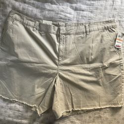 Women’s Chino Shorts