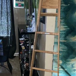 Ladder