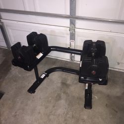 BowFlex SelectTech 560 Dumbbells 3DT Weights 