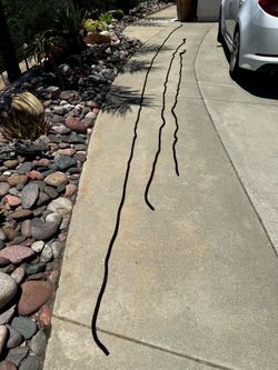 Boat rope