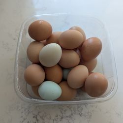 Farm Fresh Eggs 