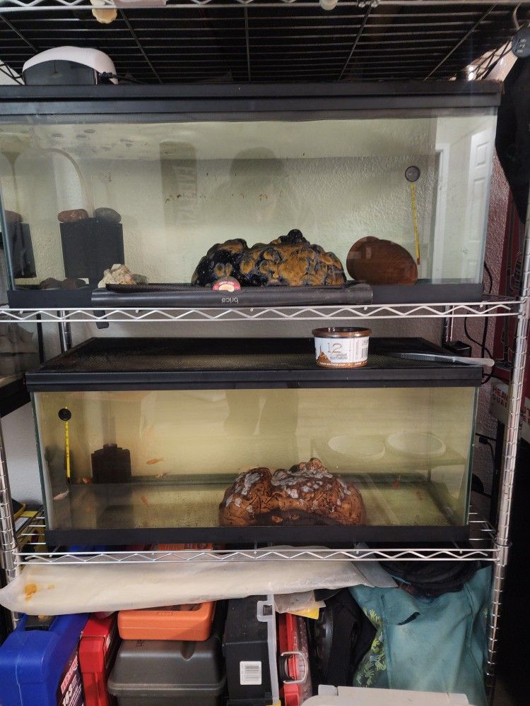 20g Long Fish Tank