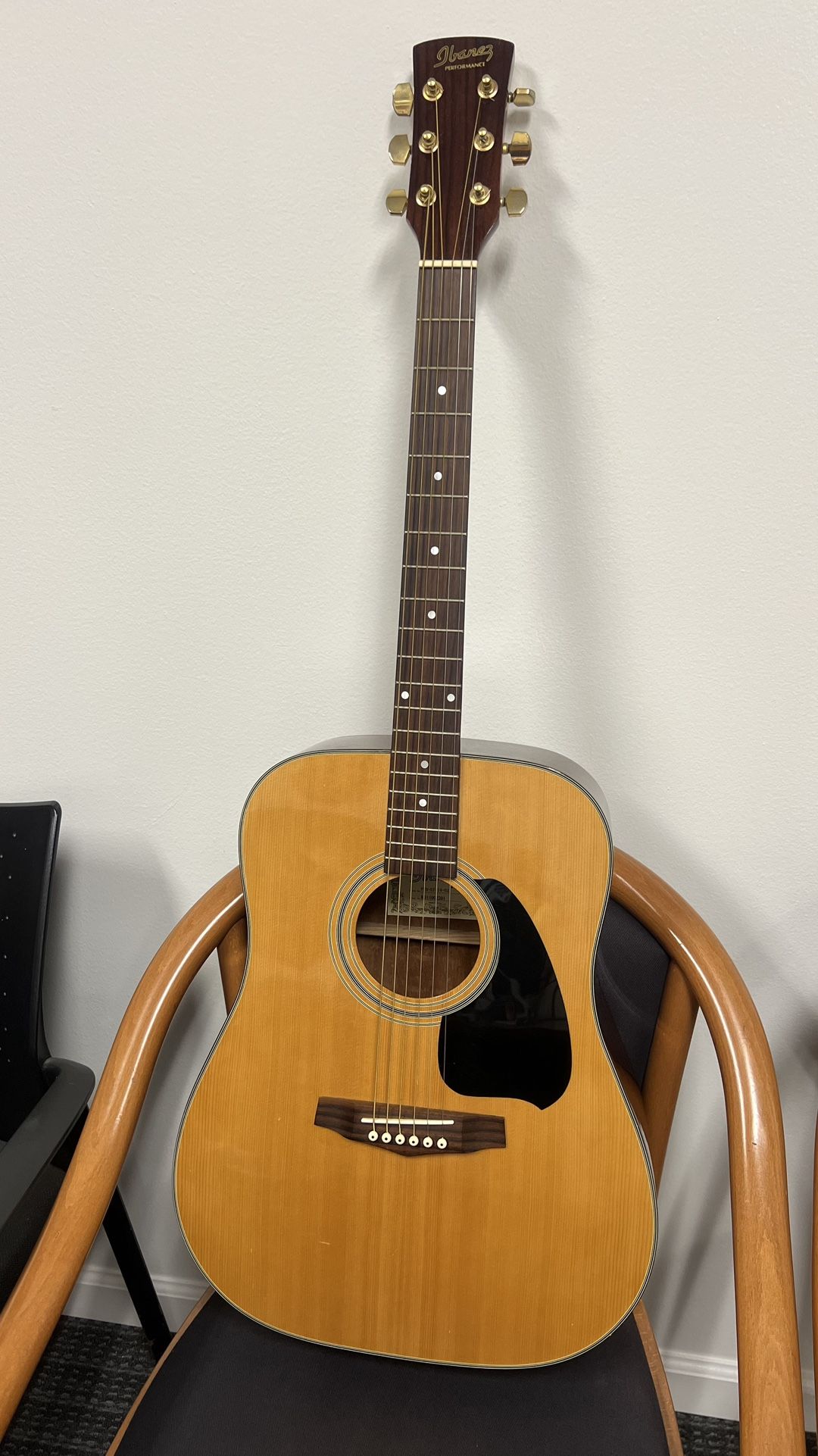 Ibanez Acoustic Guitar – Professional Series