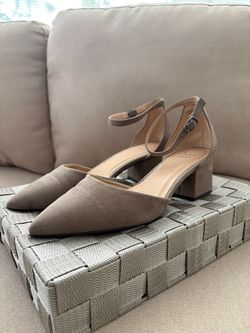 Taupe Suede Block Kitten Heel Ankle Strap Pointed Toe Shoes