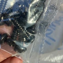 Wood Screws For Sale Bulk Amount Or 1 Pack