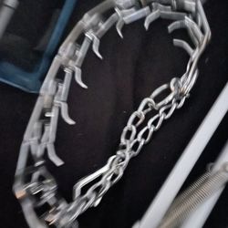 Dog Collar