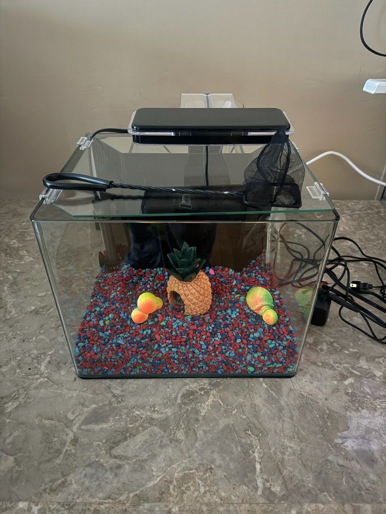 6 Gallon Fish Tank