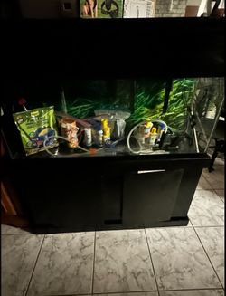 Tank aquarium