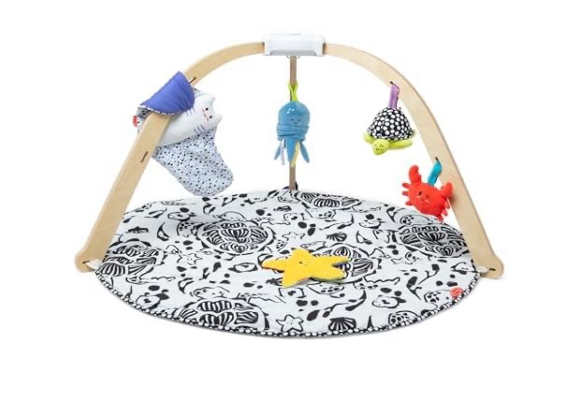 Melissa & Doug Ocean Play Gym Melissa & Doug Ocean Easy-Fold Wooden Play Gym for Infants, Reversible Mat, 5 Soft Toys, Birth to 9 Months - FSC-Certifi