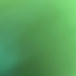 I Will Buy A Clapped Surron 