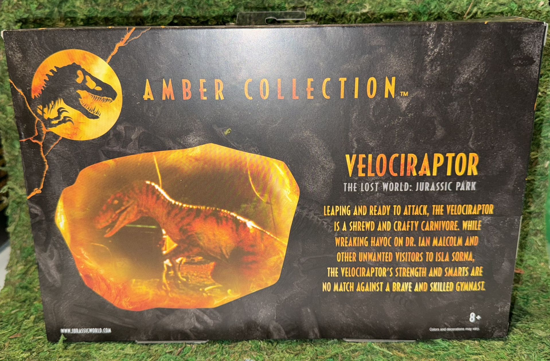 Amber Collection Raptor 