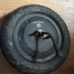 350w 3phase Hub Motor 10 Inch With Tubeless Tire