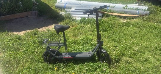 800w 20mph e-scooter 5th wheel