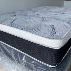 Cal king Euro Pillow Top