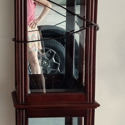 Dark Brown Curio Cabinet