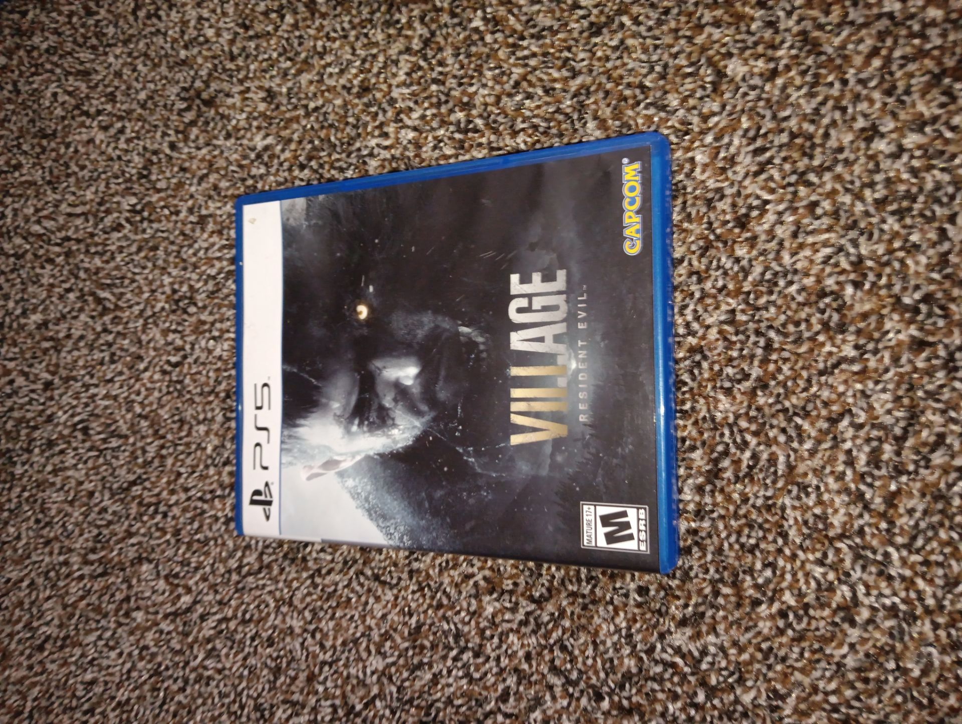 Play station five game village resident evil
