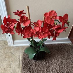 Flower Arrangement