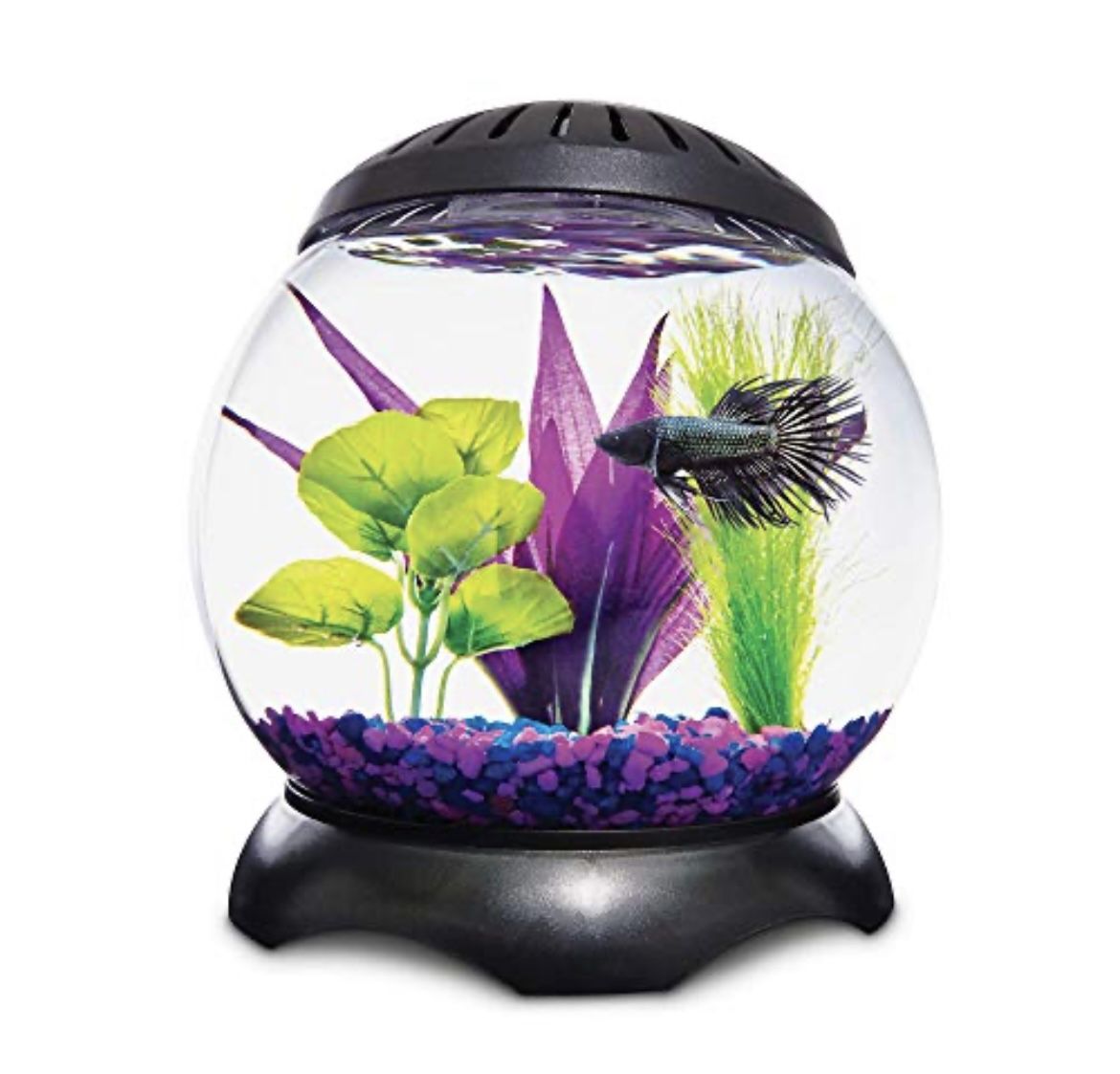 Imagitarium Panoramic 1.3 Gallon Lotus Tank, Beta Fish Tank