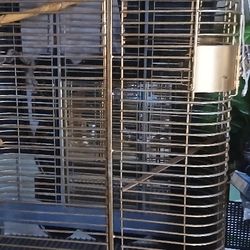 Gold Bird Cage