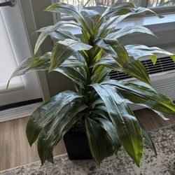 Faux Snake Plant 