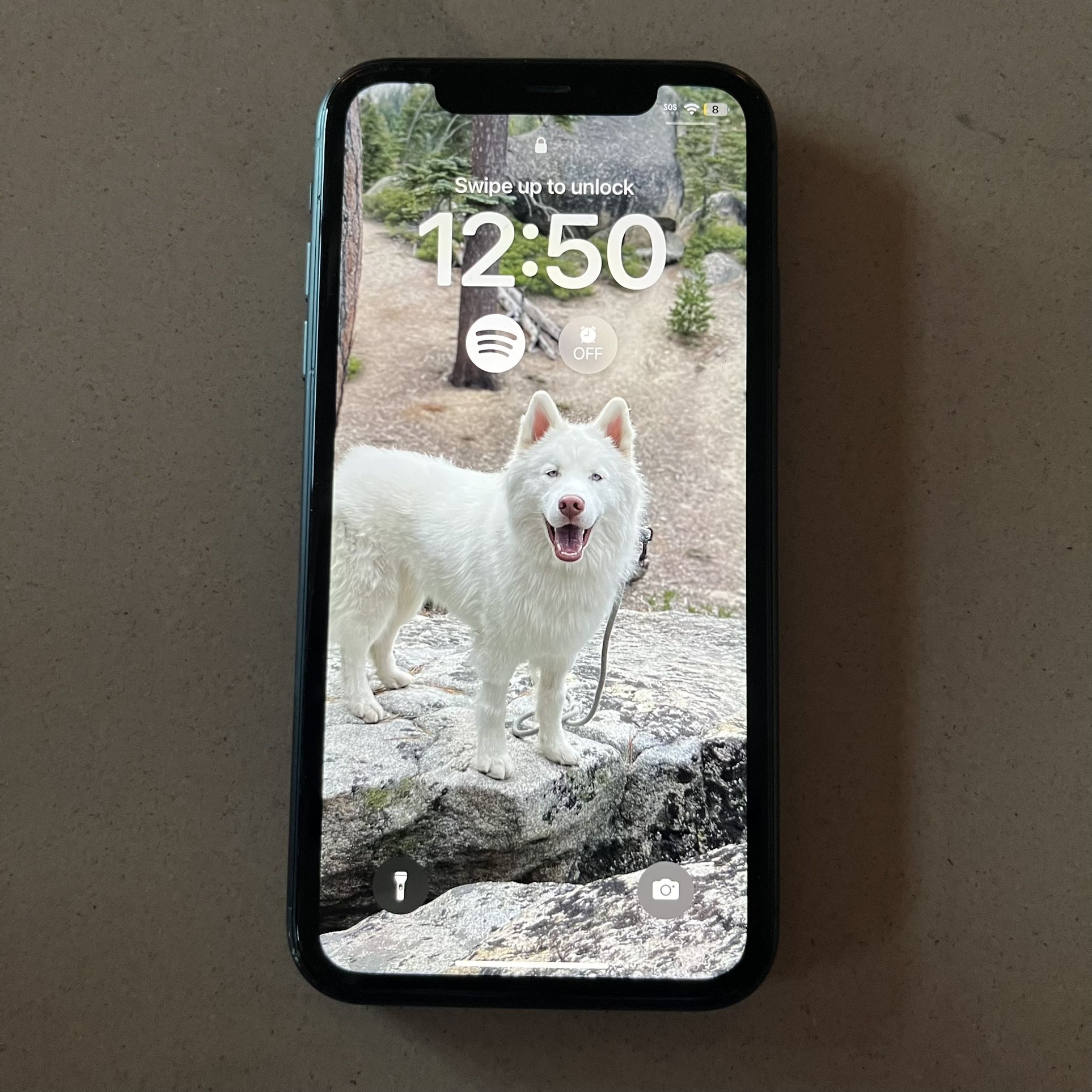 iPhone 11 64GB Unlocked