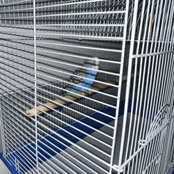 Bird Cage With Everything