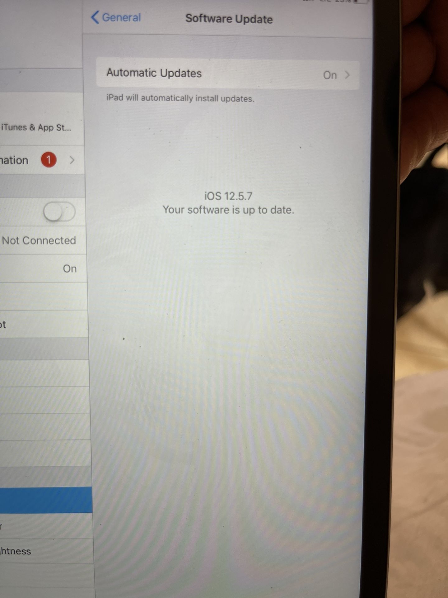 iPad Mini 2