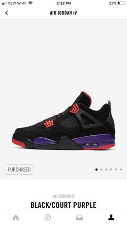 Jordan 4 Raptors , Drake OVO size 13