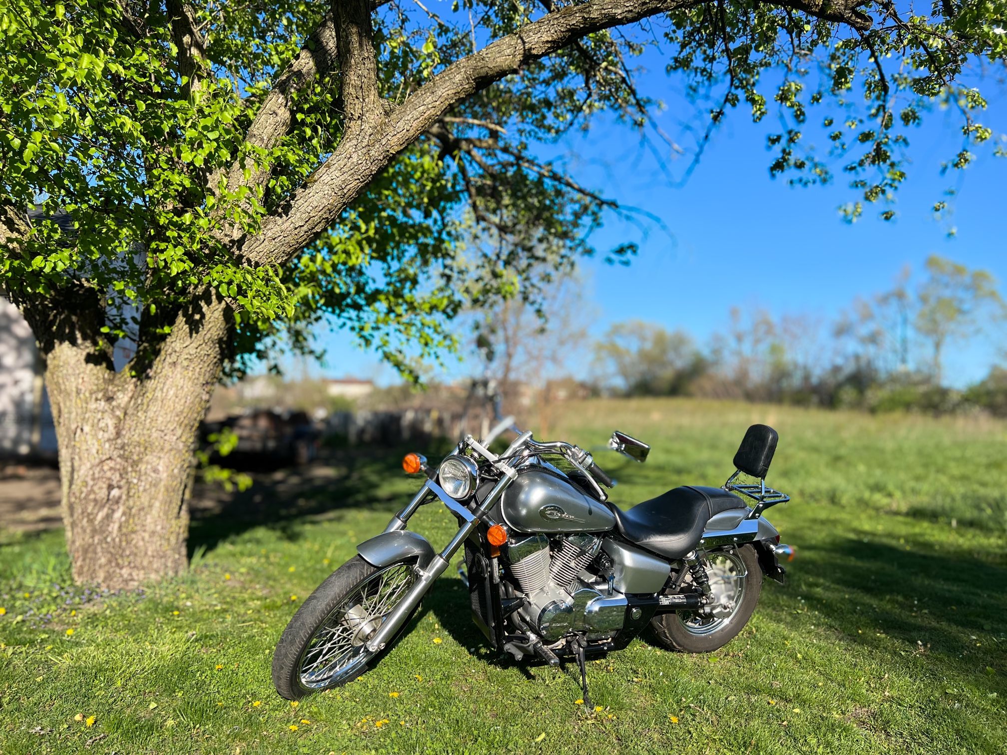 2008 Honda Shadow Spirit