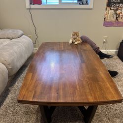 Coffee Table (business cat NOT included)
