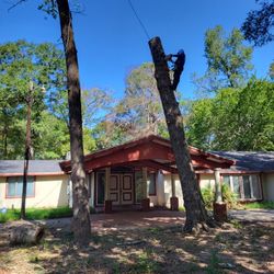 Tree Svc