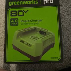 Greenworks Pro 80V Charger, 4.0 Amp