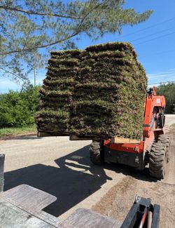St. Augustine Grass Pallets   (sod)