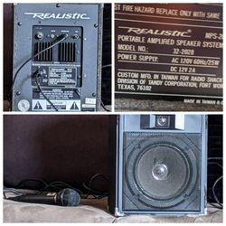 Realistic Amplified Speaker System