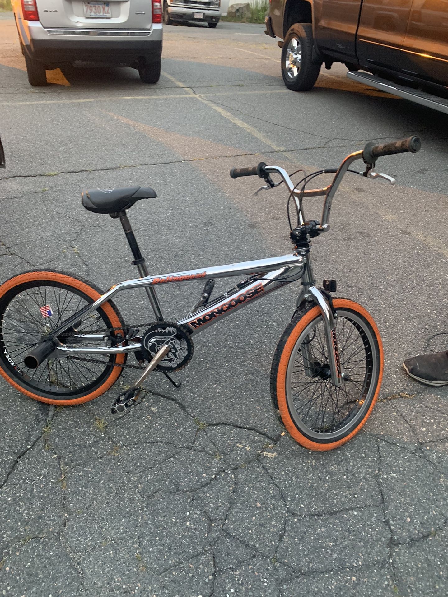 Mongoose Delinquent