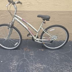 DBX Bike