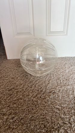 Hamster wheel