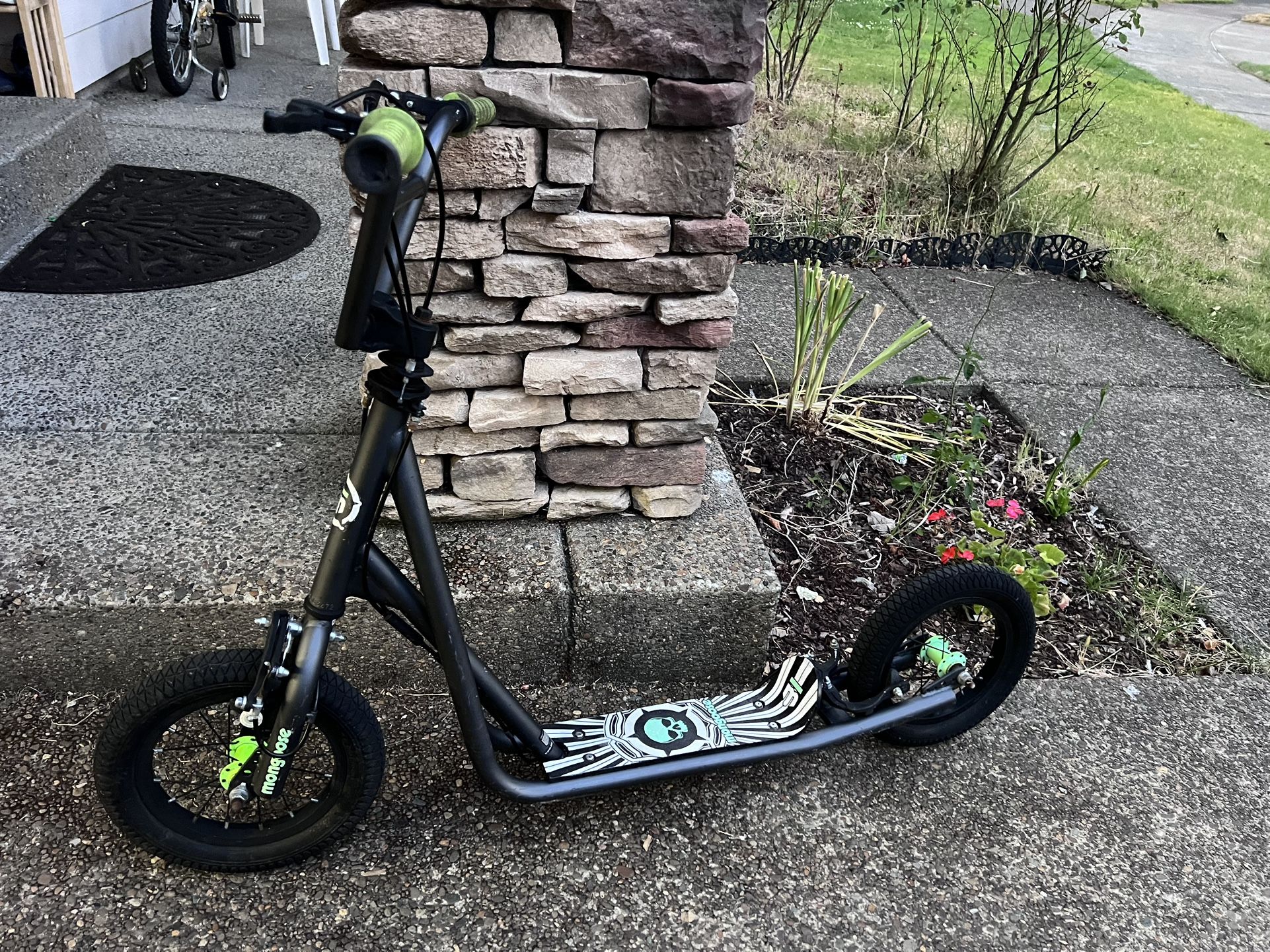 Expo Kick Scooter,