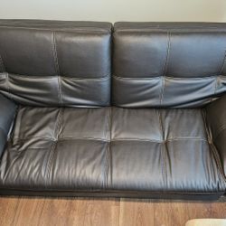 Leather Futon (Costco)